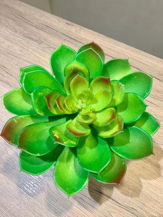 piantine finte con contenitore