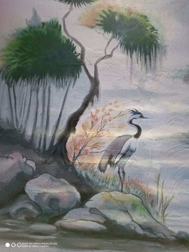 GRAFFITI OFICIAL SAFOR - PINTOR MURO DISEÑO INTER