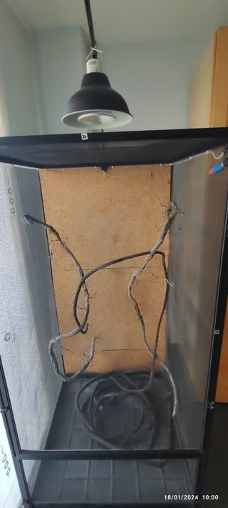 Terrario malla camaleón