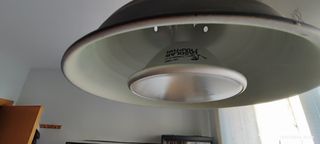 Terrario malla camaleón