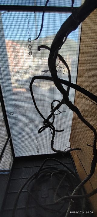 Terrario malla camaleón