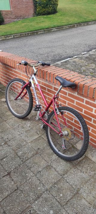 Bicicleta montaña Orion infantil