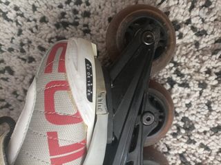 Patines evolutivos linea