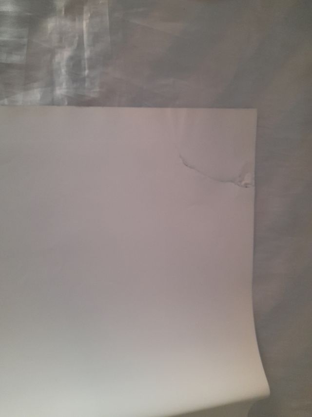 Lo zoo di venere fotobusta originale