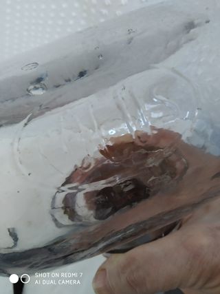 Depósito para la  gasolina, Antigua Moto.