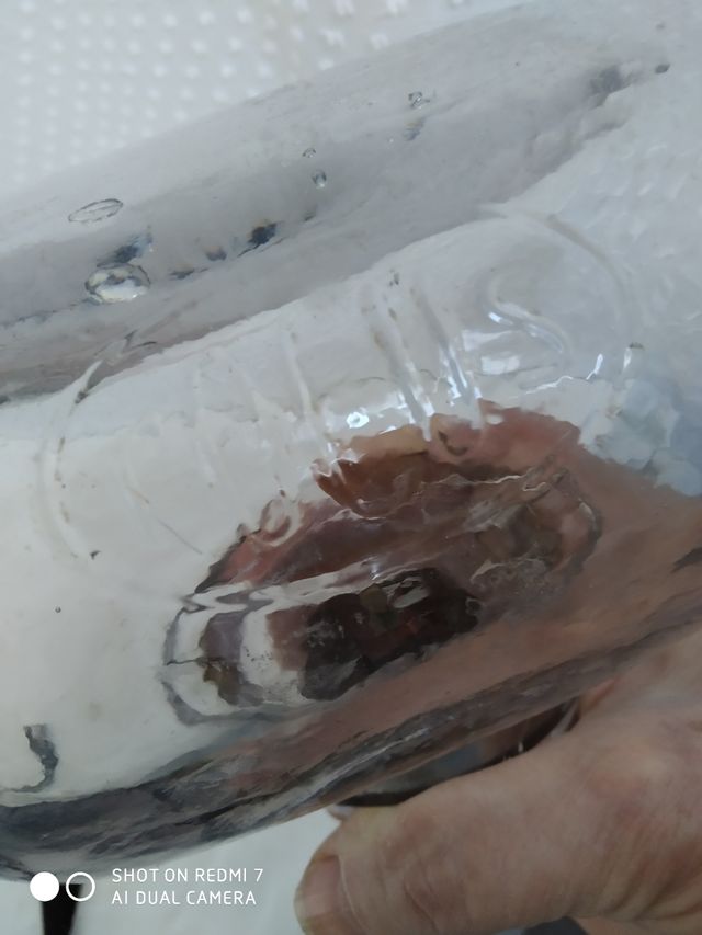 Depósito para la  gasolina, Antigua Moto.