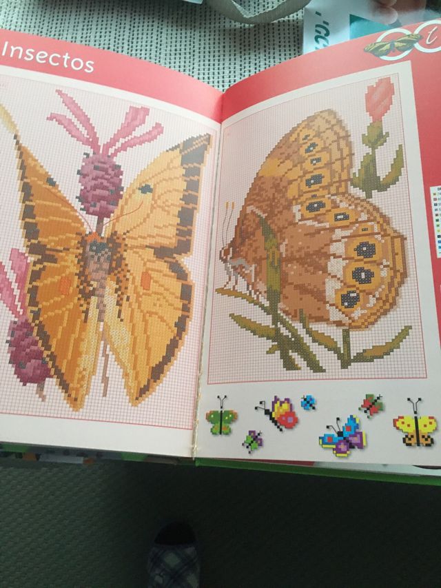 Dos libros de punto de cruz