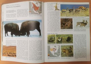 Livro Animais da Terra - Dos Polos ao Equador