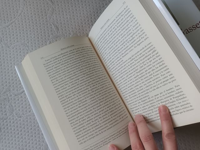 José Ortega y Gasset