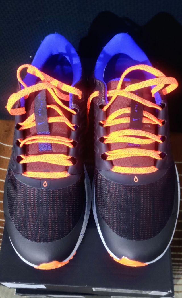 NIKE PEGASUS 38 SHIELD DEL 41