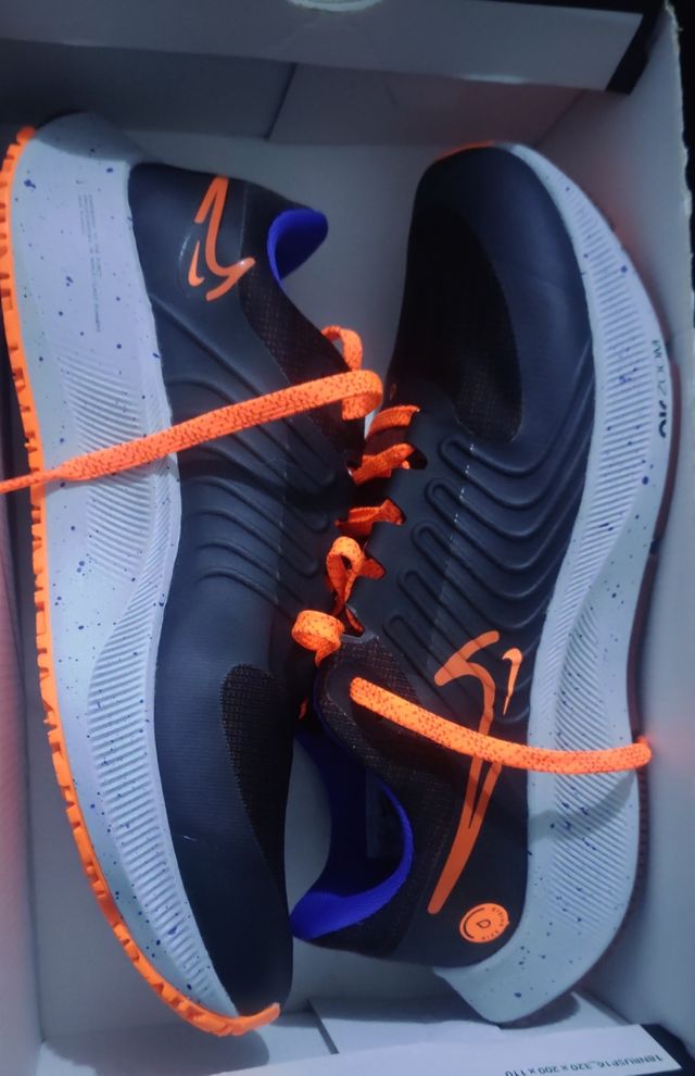 NIKE PEGASUS 38 SHIELD DEL 41