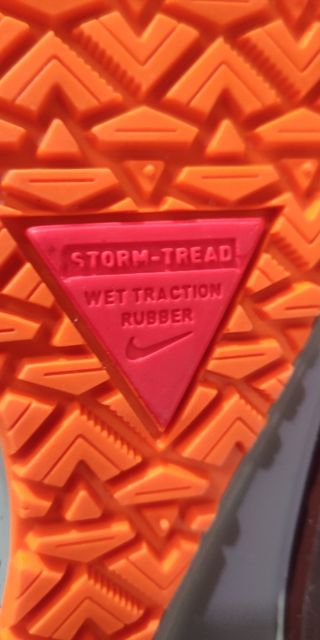 NIKE PEGASUS 38 SHIELD DEL 41