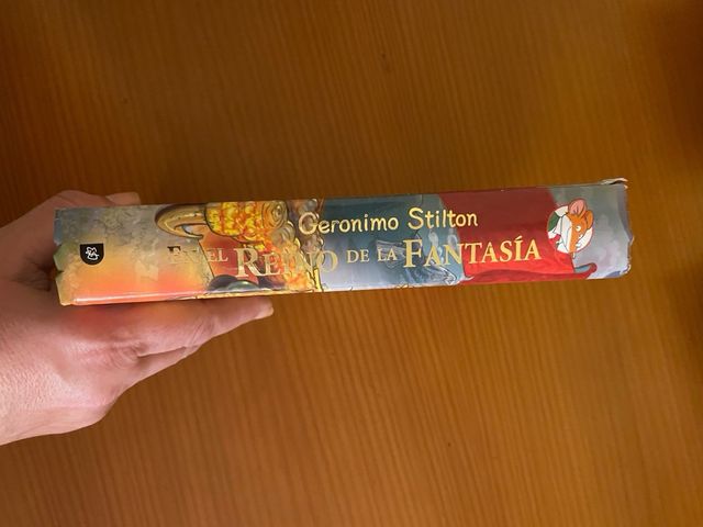 libro Geronimo Stilton EN EL REINO DE LA FANTASÍA