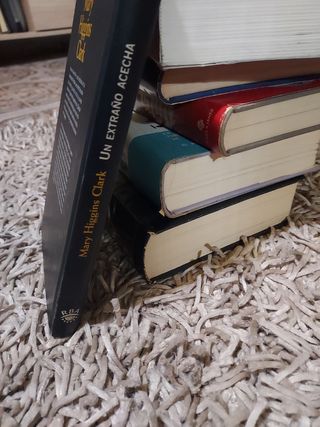 Un extraño acecha . Mary Higgins Clark