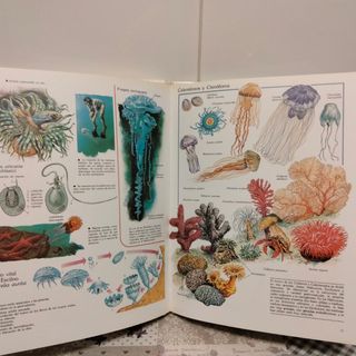 Enciclopedia de Animales