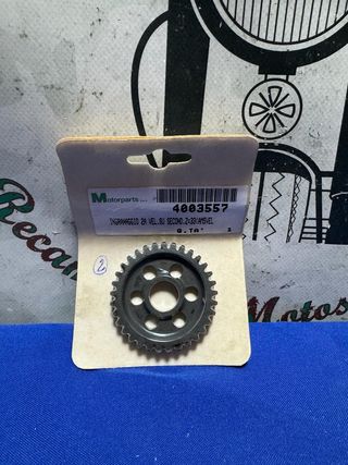 Motor AM5 piñon 2 velocidad honda rieju beta