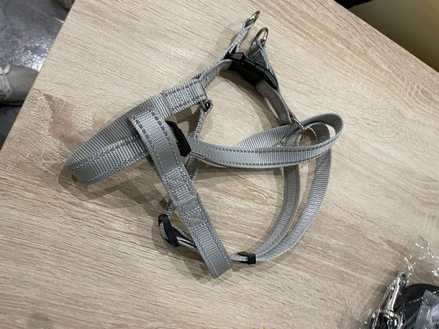 accesorios para perro