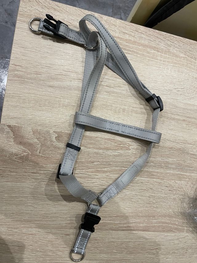 accesorios para perro