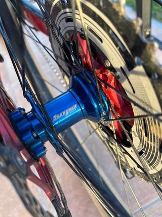 gt sensor 29 xpert carbono ohlins 2019