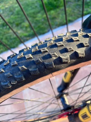 gt sensor 29 xpert carbono ohlins 2019