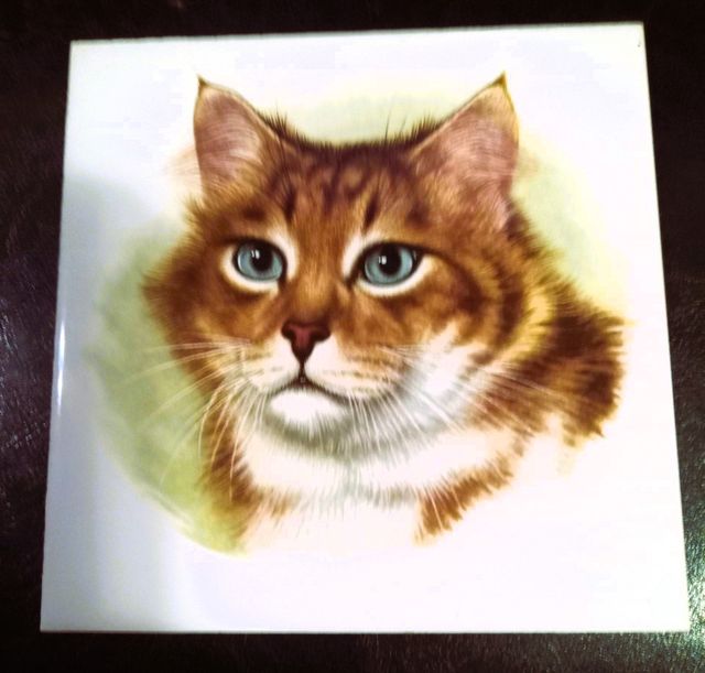 MOLTE VECCHIE PIASTRELLE