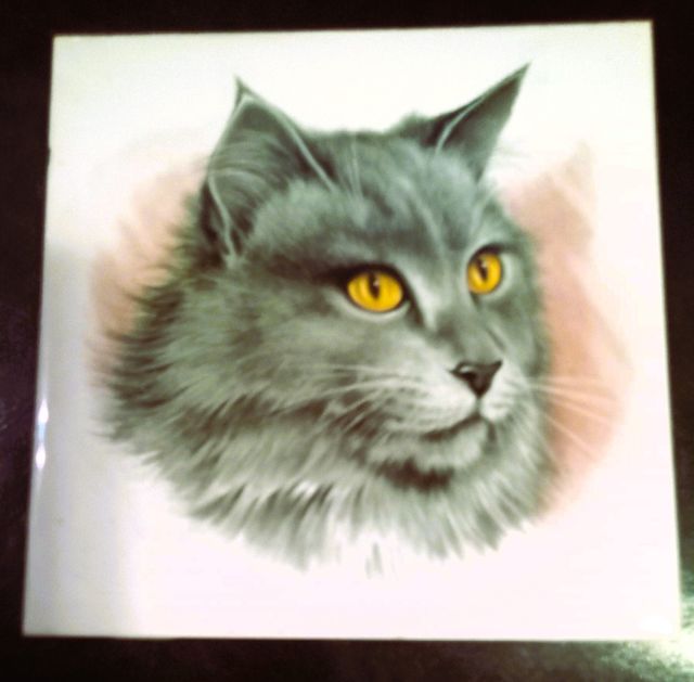 MOLTE VECCHIE PIASTRELLE