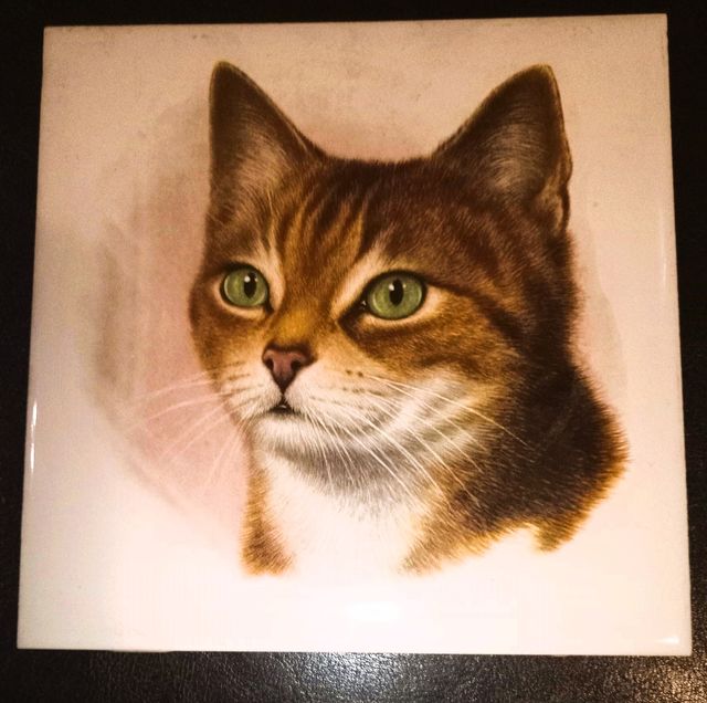 MOLTE VECCHIE PIASTRELLE