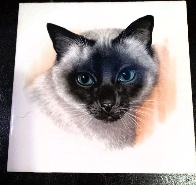 MOLTE VECCHIE PIASTRELLE