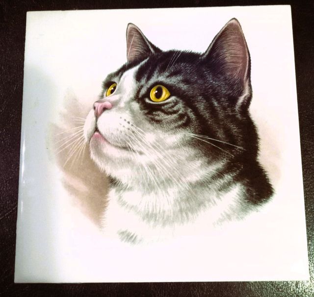 MOLTE VECCHIE PIASTRELLE