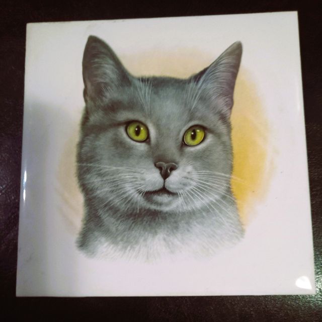 MOLTE VECCHIE PIASTRELLE