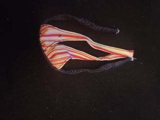 Costume Kayla Cali