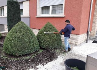 Jardinero economíco