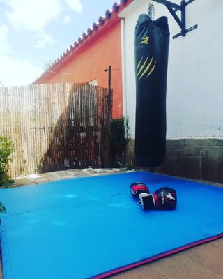 tatami nuevo anticaidas, zona juevos, deporte...