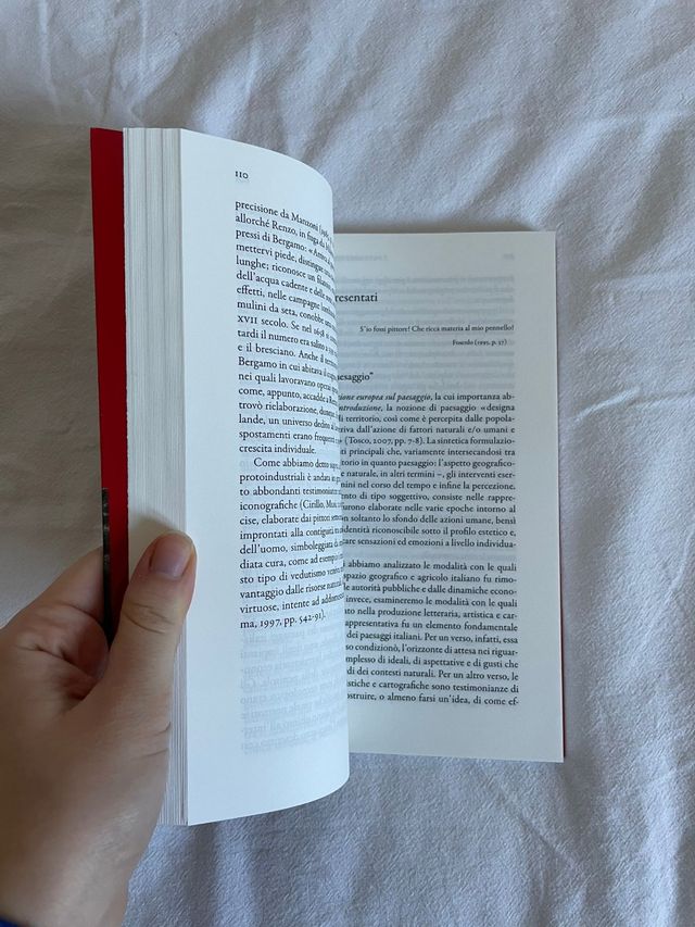 Libro "I paesaggi dell' Italia moderna"