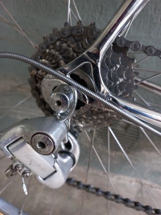 Bici eroica vintage Anselmo Losa Campagn