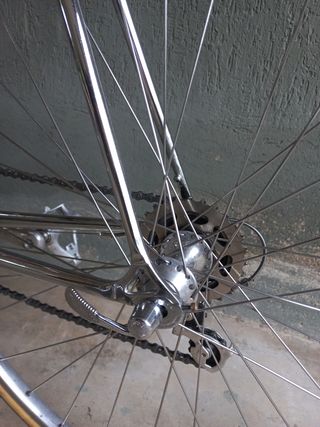 Bici eroica vintage Anselmo Losa Campagn