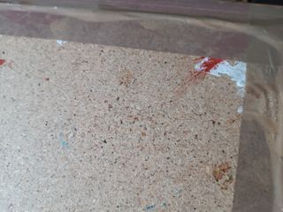 Icono oleo sobre tabla