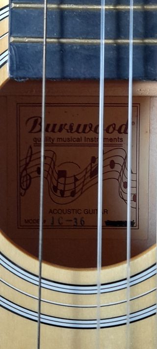 Guitarra Burswood