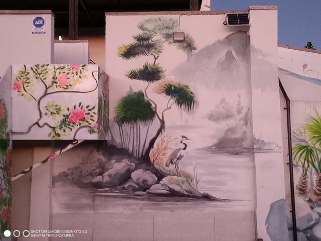 Pintor fachadas, murales, deco graffiti