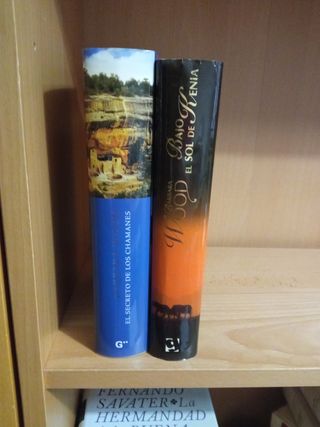 Lote 2 libros Bárbara Wood