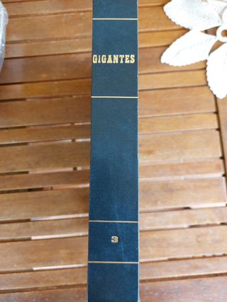 Gigantes del superbasket