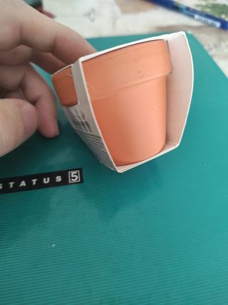 Mini Maceta de arcilla con semillas