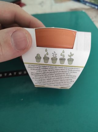 Mini Maceta de arcilla con semillas