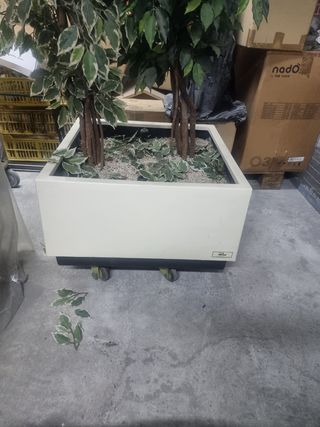 Jardinera de autoriego con plantas