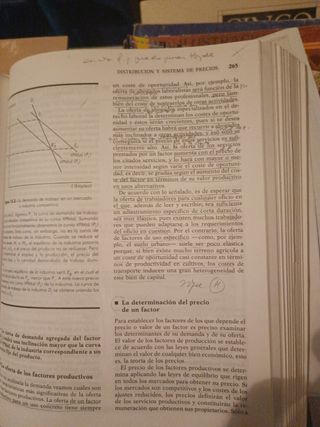 ECONOMÍA - TEORÍA Y POLÍTICA +