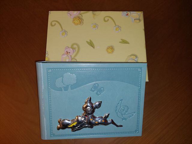 Álbum de fotos Infantil