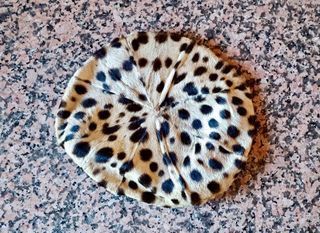 BOLSO DE PIEL FORRADA PELAJE DISEÑO