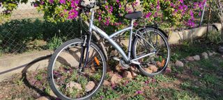 Bicicleta híbrida