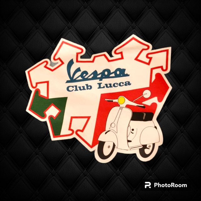 T SHIRT uomo donna fruit of the loom manica corta 