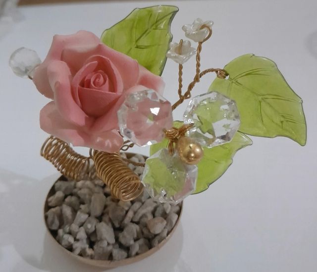 Piantina ornamentale